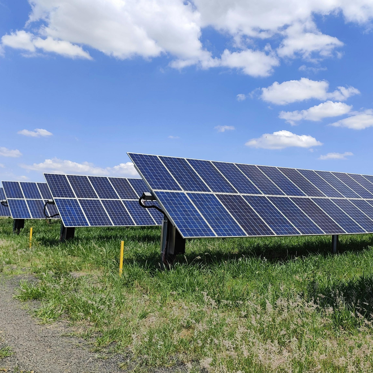 Planta fotovoltaica con paneles solares