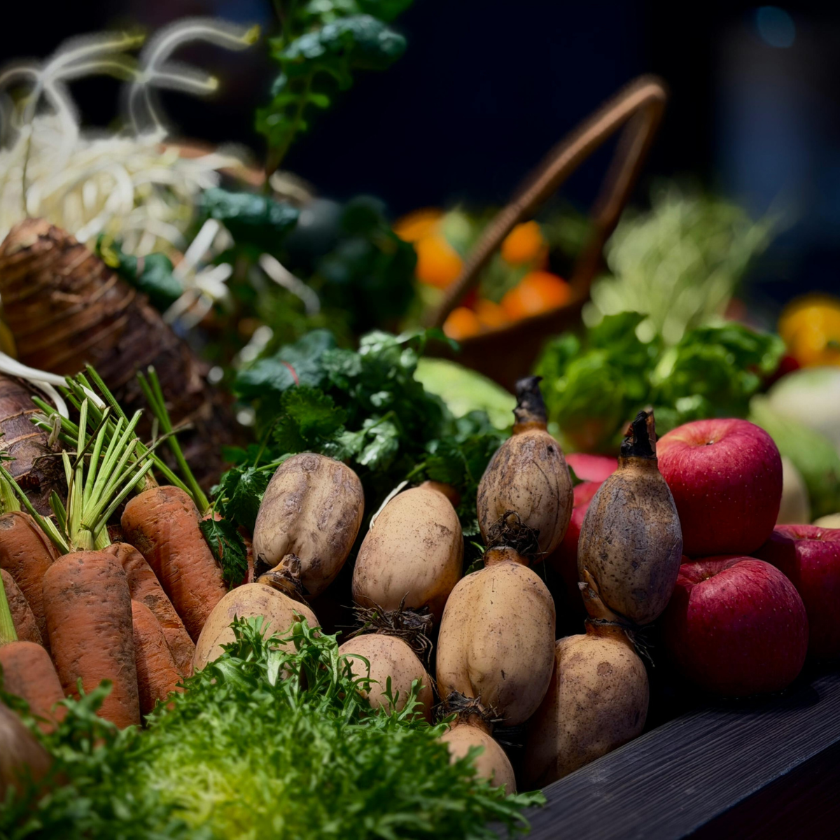 bridas para sector hortofrutícola